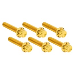 Kits vis titane 12 points pour couvercle lateral de boite et trappe A300714