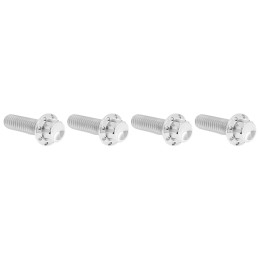 Kits vis titane 12 points pour frein et embrayage A300977