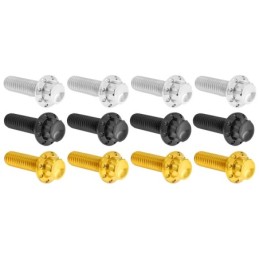 Kits vis titane 12 points pour frein et embrayage A300977