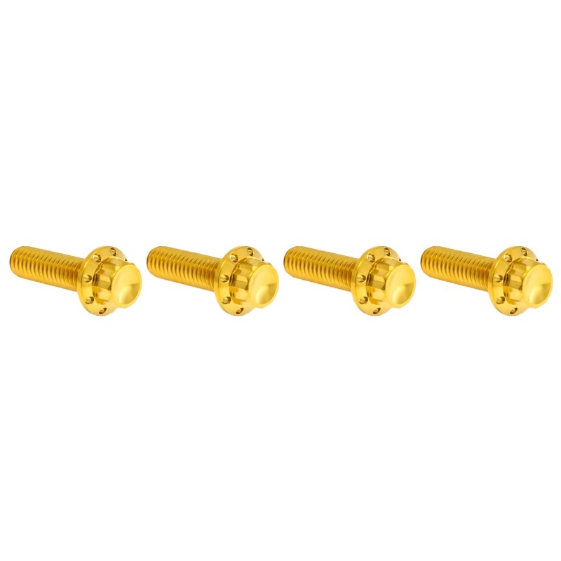 Kits vis titane 12 points pour frein et embrayage A300979