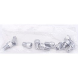 Vis avec tete allen chromee grade-8 720246