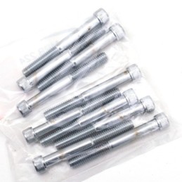 Vis avec tete allen chromee grade-8 720250