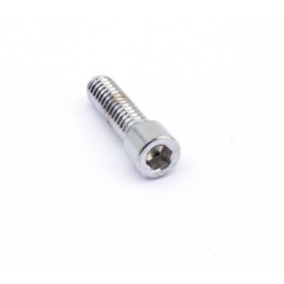 X-wedge crankcase 789035