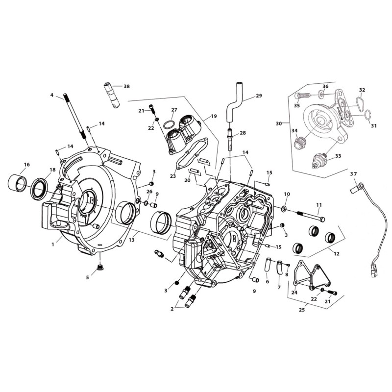X-wedge crankcase 789154