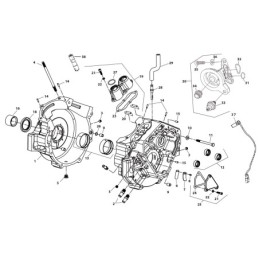 X-wedge crankcase 789163