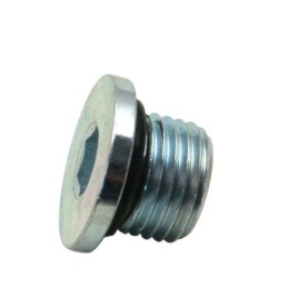 X-wedge crankcase 789164