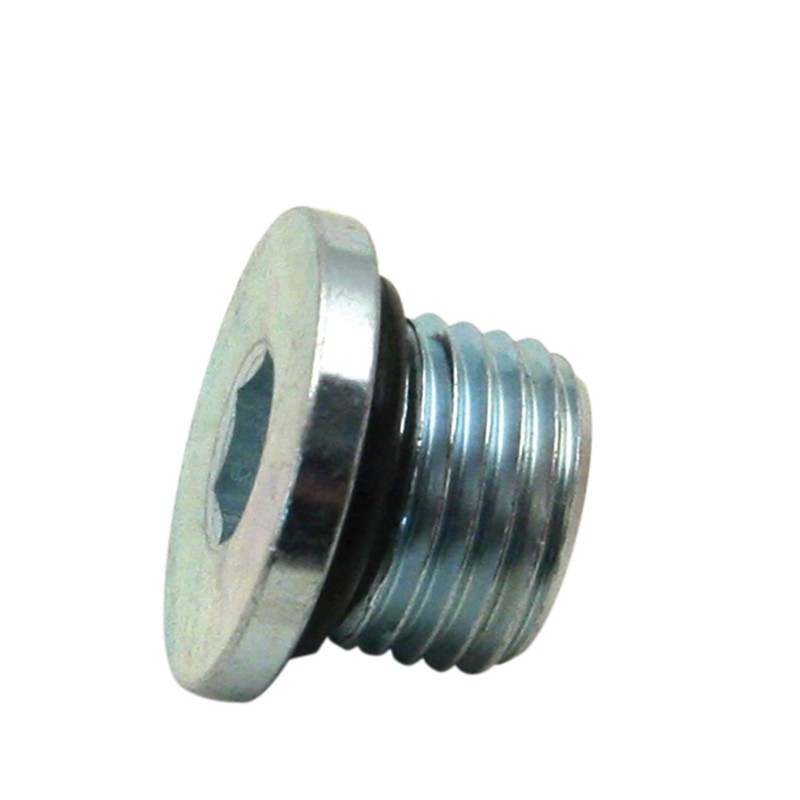 X-wedge crankcase 789164