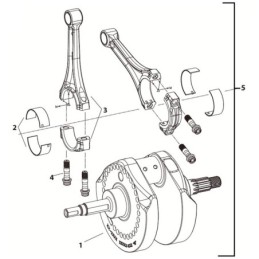 X-wedge crankshaft & connecting rods 789004