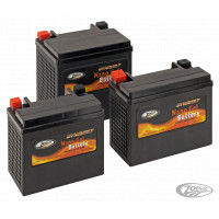 Electricité pour Harley-Davidson Softail M8 2018-2025