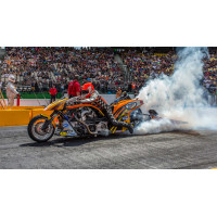 Embrayage pour Harley-Davidson